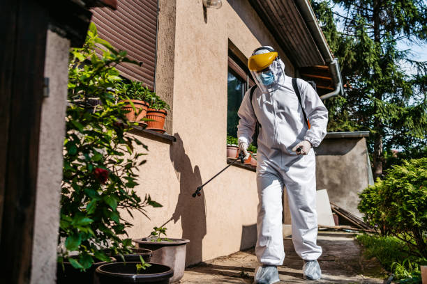 Professional Pest Control in Mayo, MD
