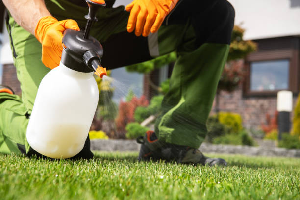 Best Flea Control Services  in Mayo, MD