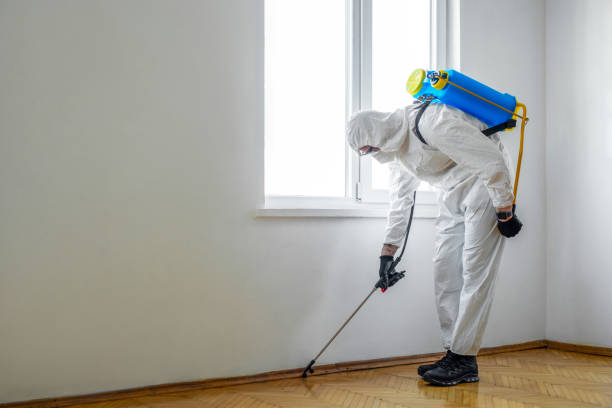 Best Pest Control for Homes  in Mayo, MD