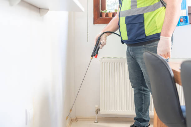 Best Wasp Removal Services  in Mayo, MD